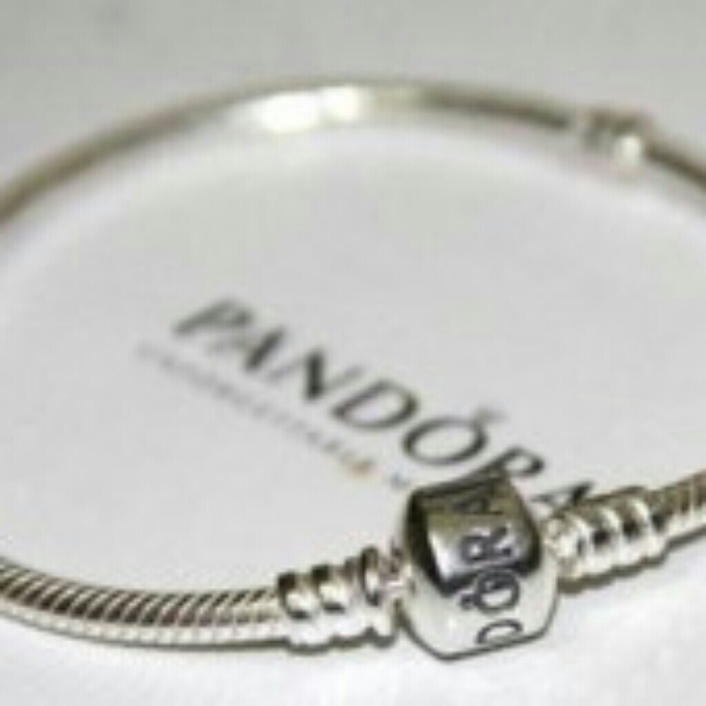 Pandora Bracelet & 2 Charms