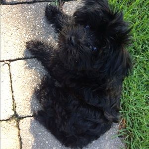 Meet your Posher, Kathy