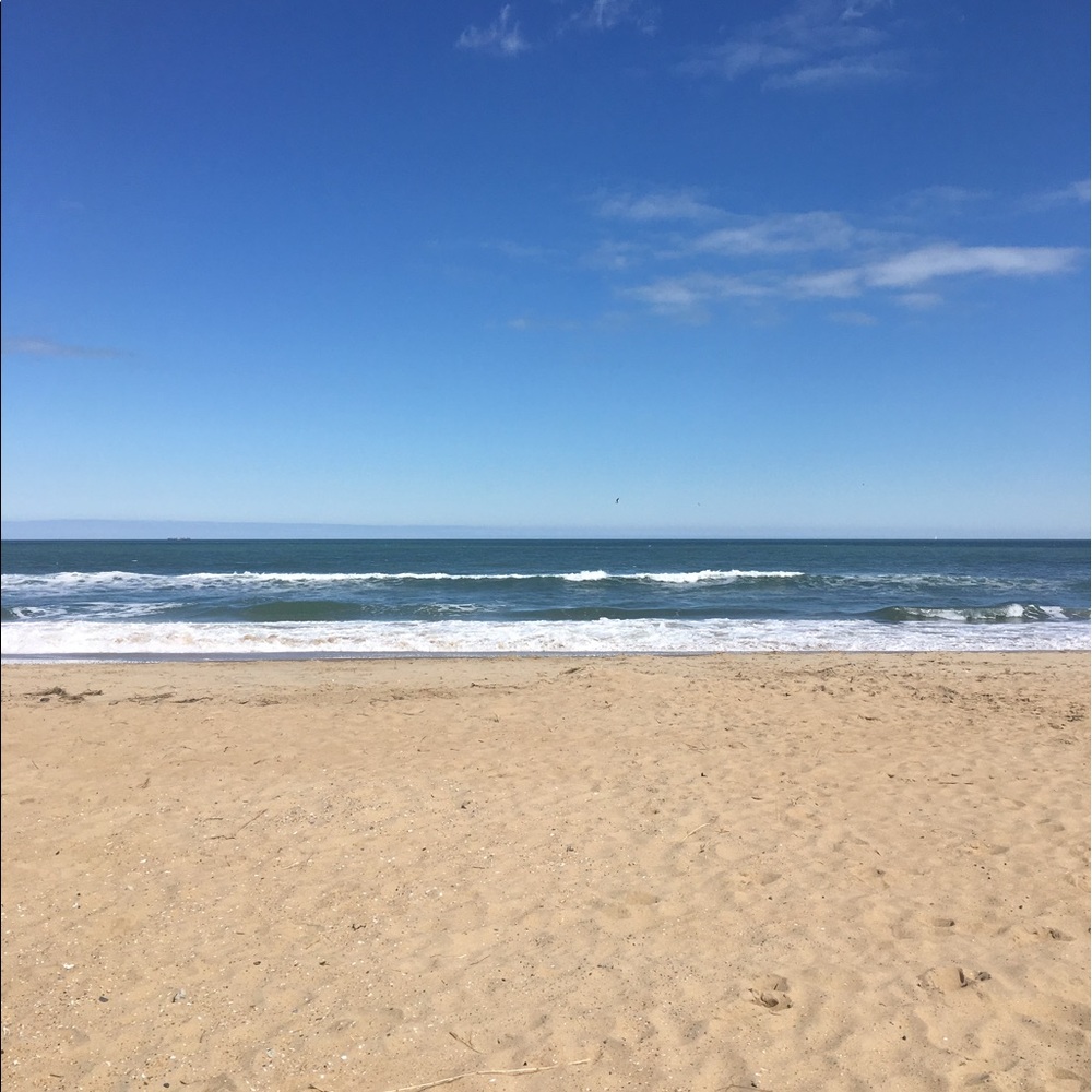 Meet your Posher, Maya