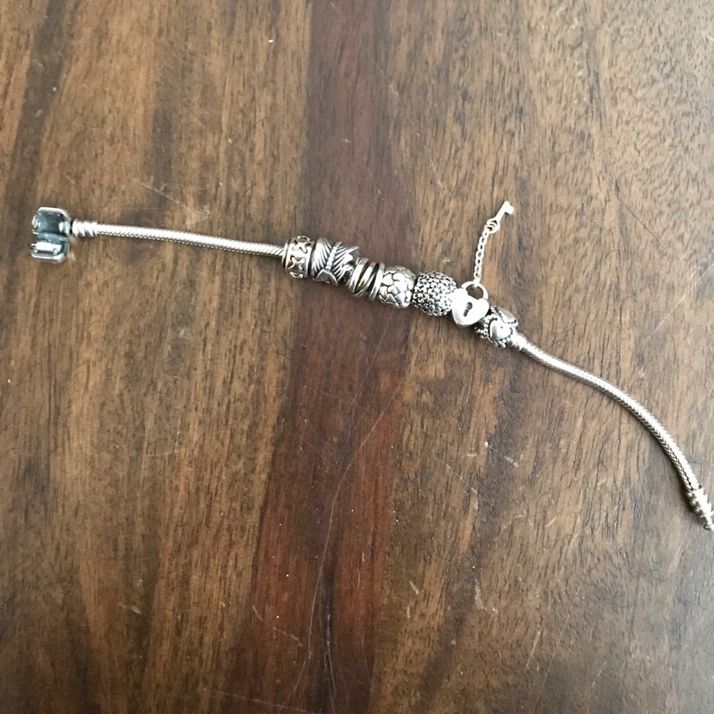 Authentic Pandora Bracelet with Charms