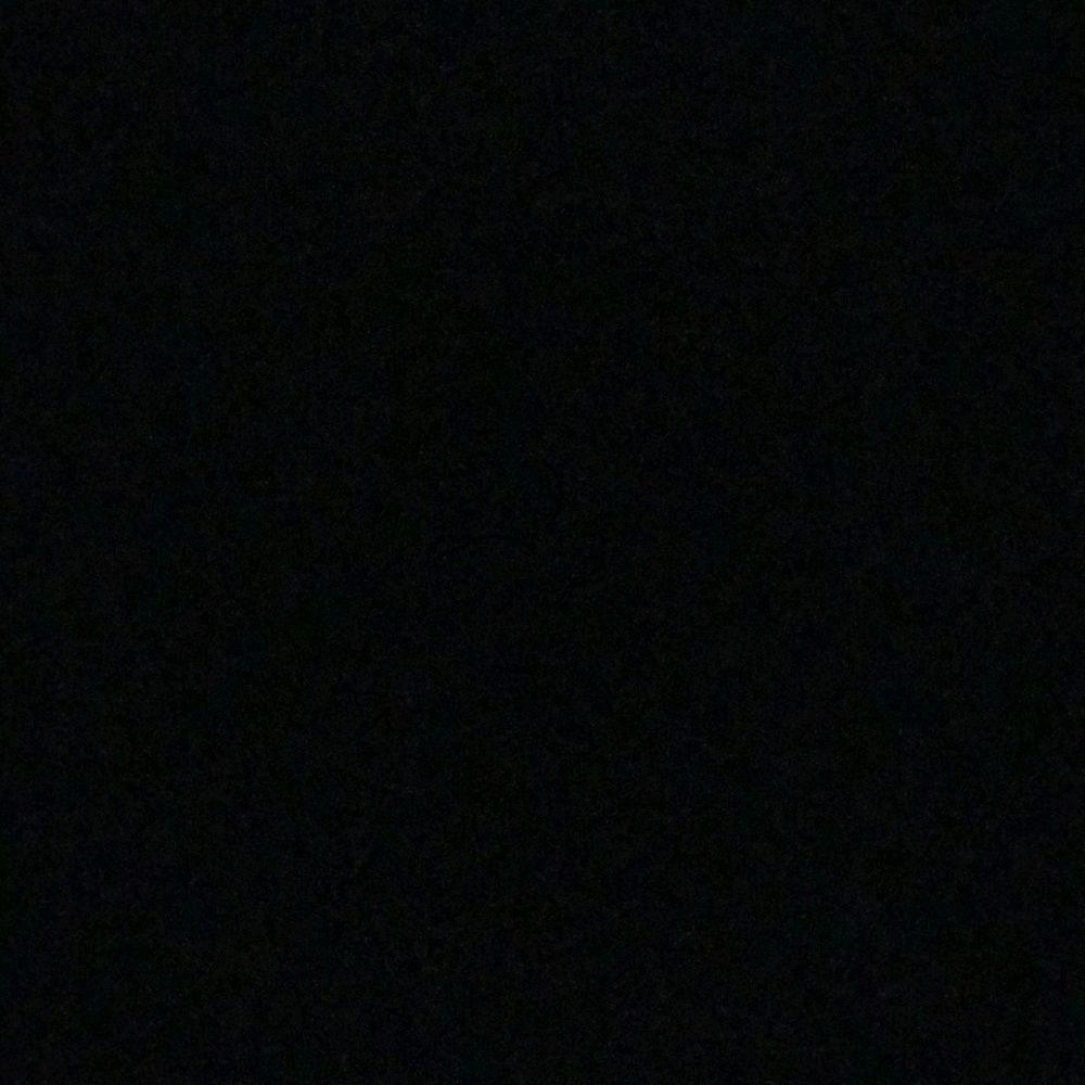 Meet your Posher, Nina