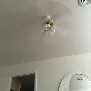 Meet your Posher, Nyla