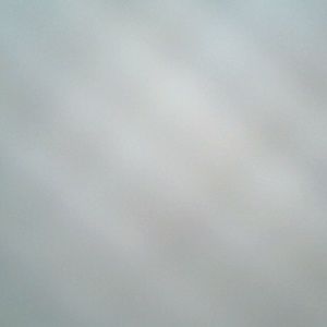 Meet your Posher, Lydia