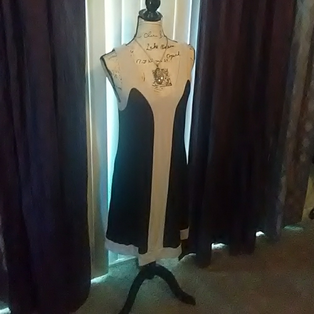 INC Cream and Black Dress