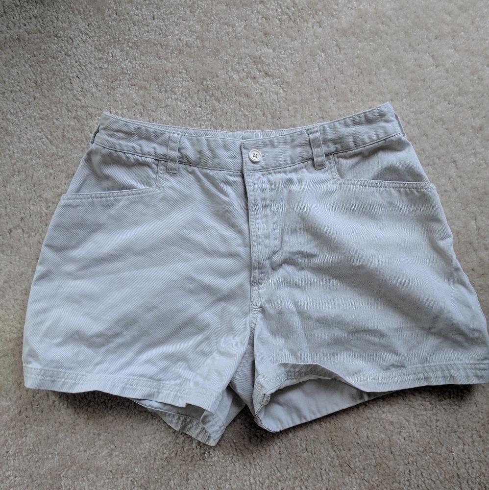 Express Bleus Chino Shorts
