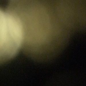 Meet your Posher, Jaden