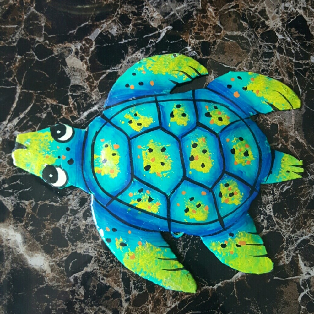 7x6 inches colored Turtle