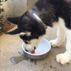 Meet your Posher, Roman