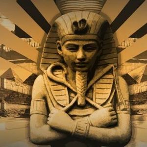 Meet your Posher, Warren