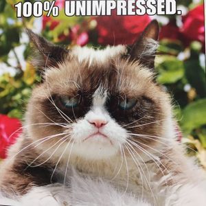 Meet your Posher, Tammie