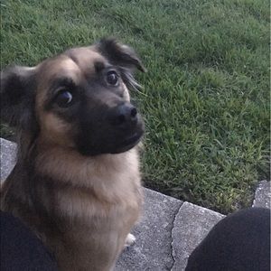 Meet your Posher, Diane