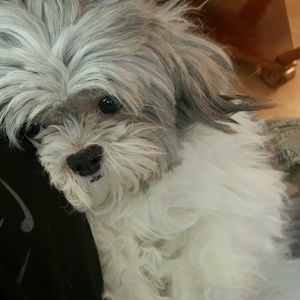 Meet your Posher, Arley