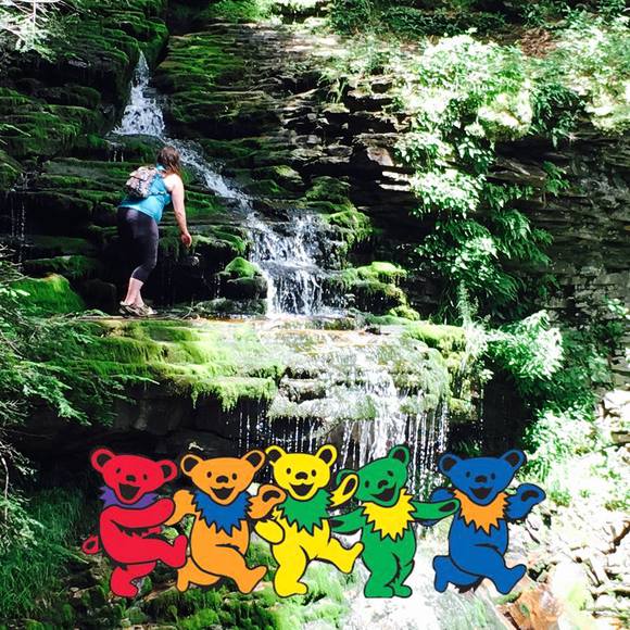 Meet your Posher, Carrie - Picture 1 of 1