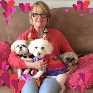 Meet your Posher, Susan