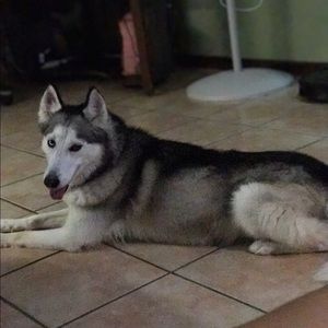 Meet your Posher, Janette