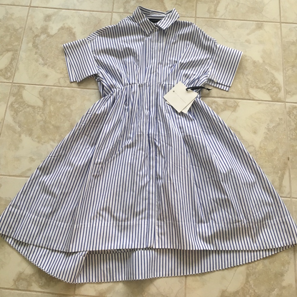 Victoria Beckham for Taget Blue Striped Dress