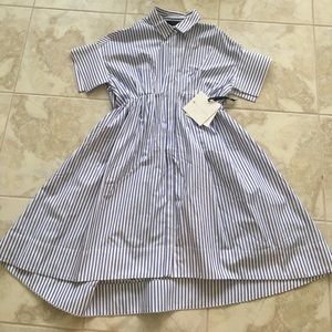 Victoria Beckham for Taget Blue Striped Dress