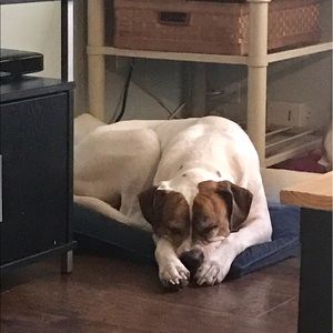 Meet your Posher, Justin