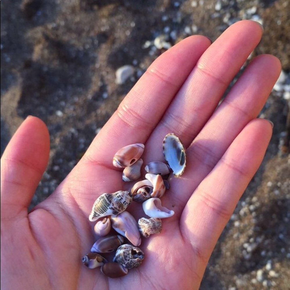 🌸 Meet the Posher 🌸