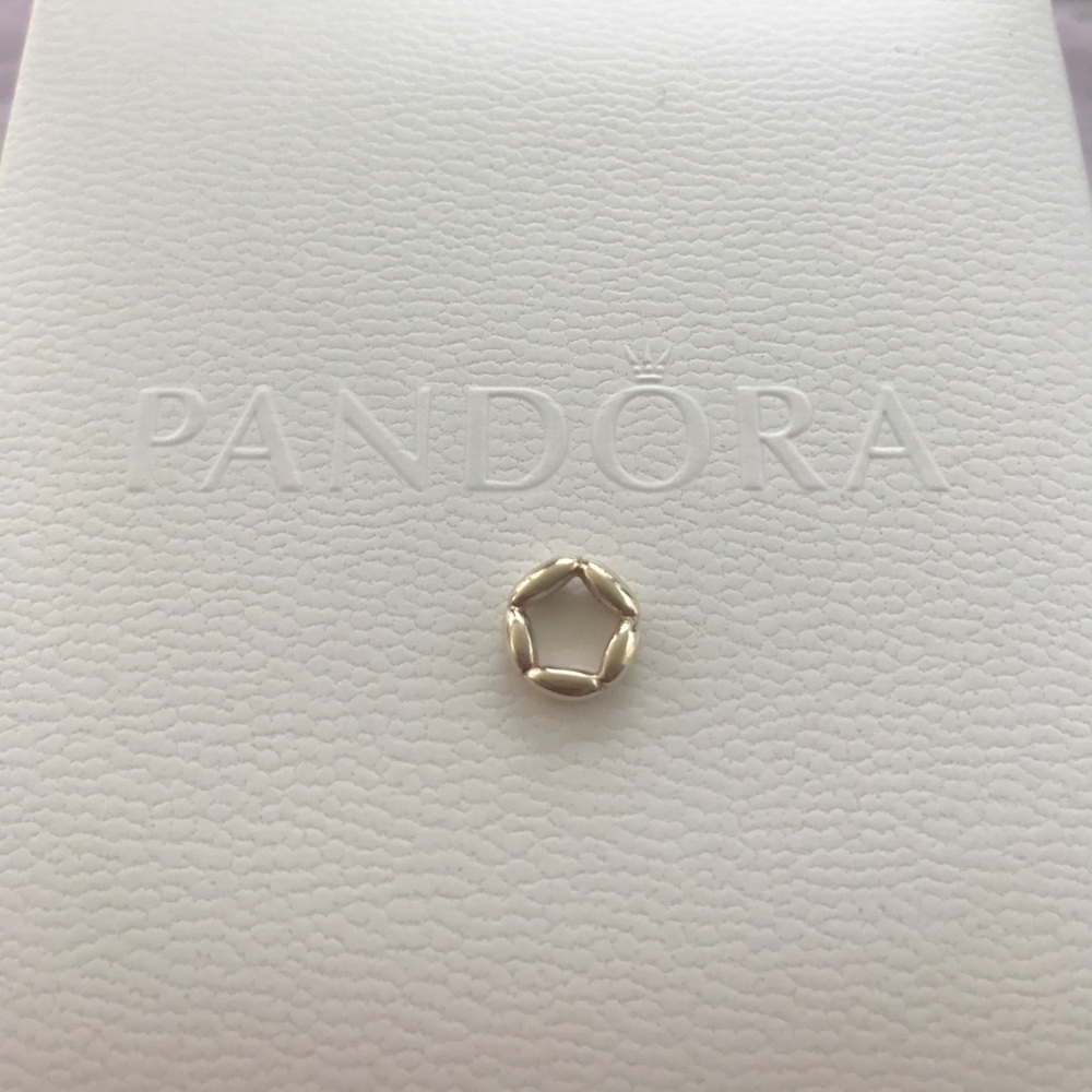 Authentic "Elegant Embrace" 14k Spacer