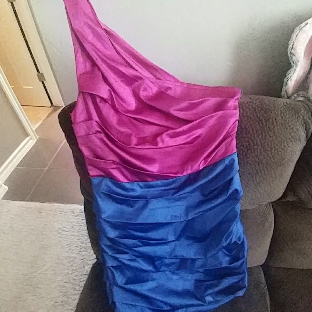 EXPRESS Dress