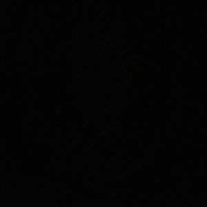 Meet your Posher, Elsa