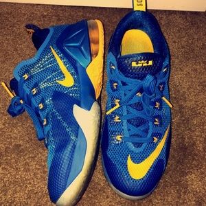 Nike Lebron 12 lows