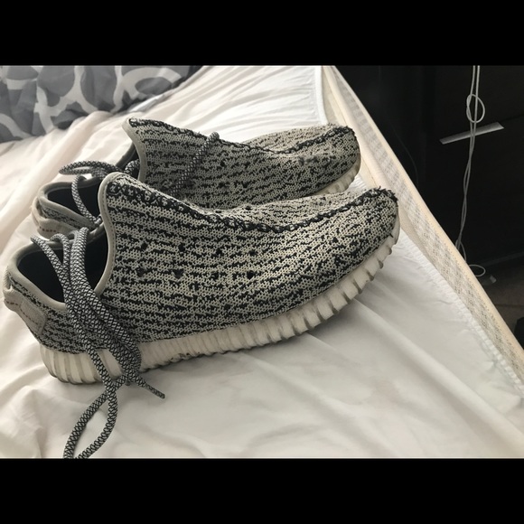 Dove Yeezys - Picture 5 of 5