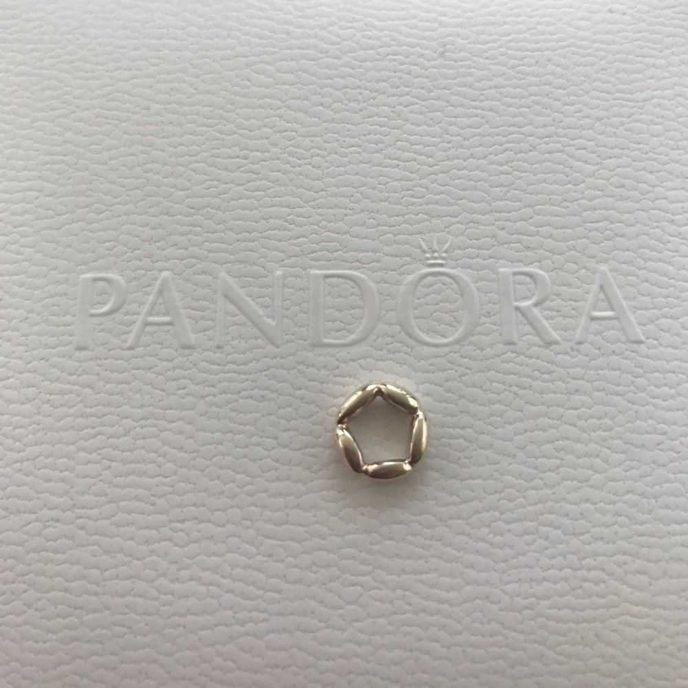 Authentic "Elegant Embrace" 14k Pandora Spacer
