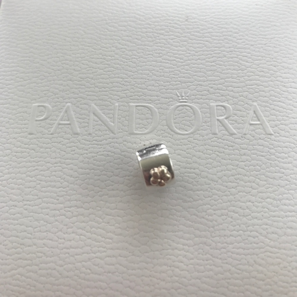 Authentic "Flower" 2 tone Pandora Clip