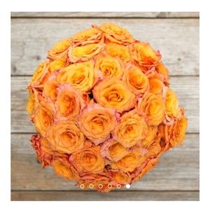 Meet your Posher, Britt