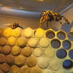 Meet your Posher, Carter