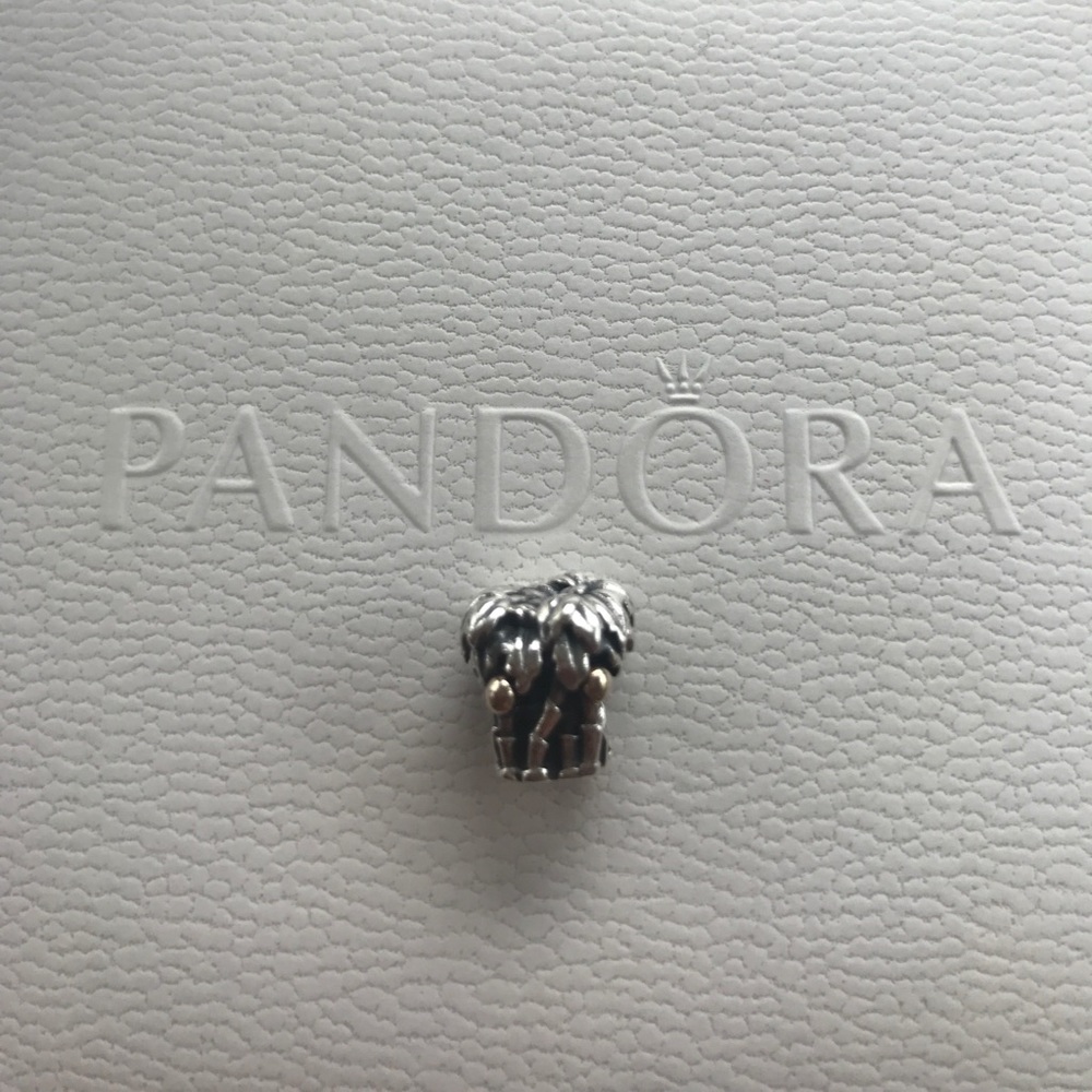 Authentic "Palm" 2 tone Pandora Bead