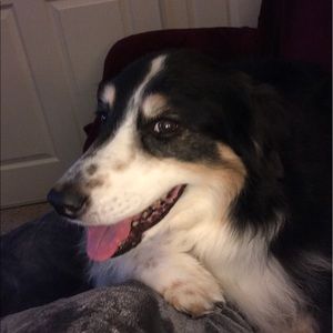 Meet your Posher, Rhonda