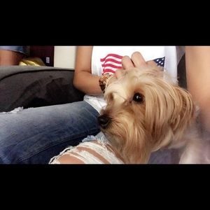 Meet your Posher, Carla