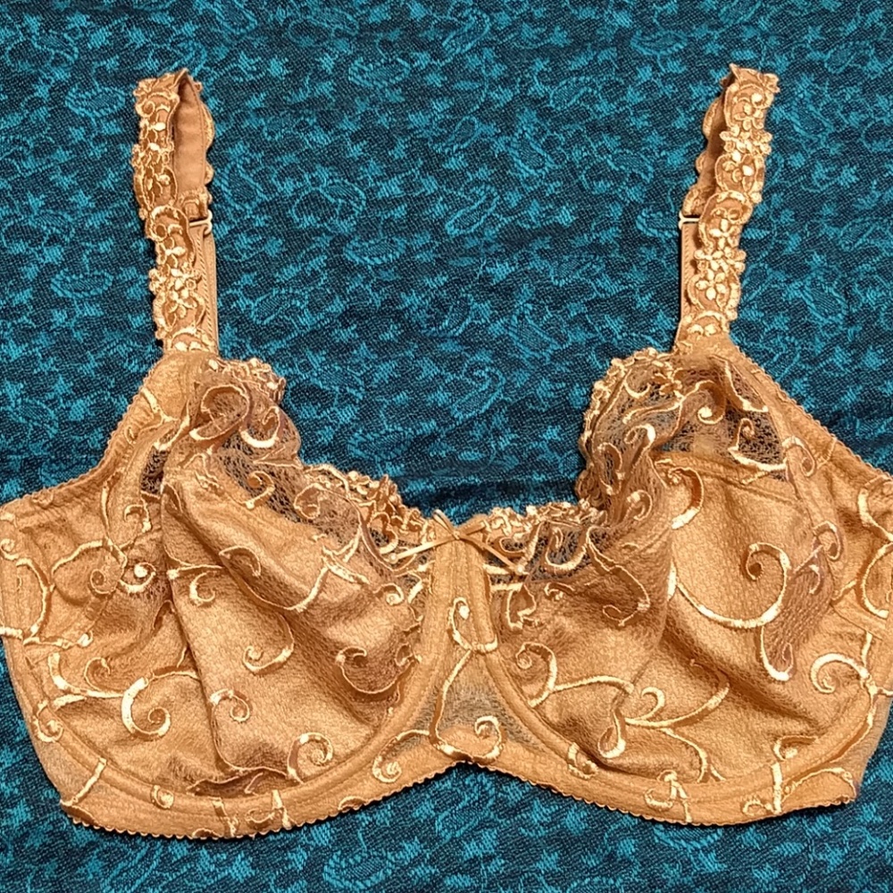 Rosa Faia bra