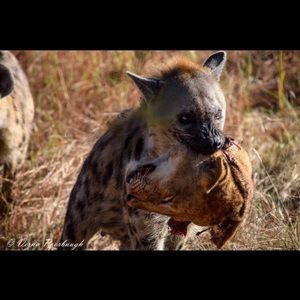 Meet your Posher, Ebaid