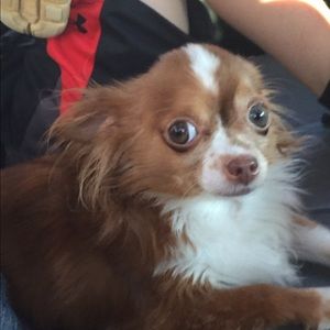 Meet your Posher, Kayden