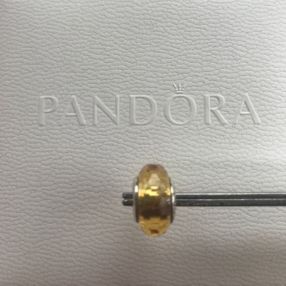 Authentic Murano Pandora Bead