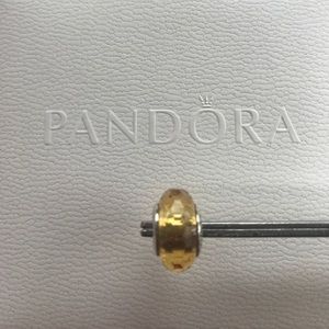 Authentic Murano Pandora Bead