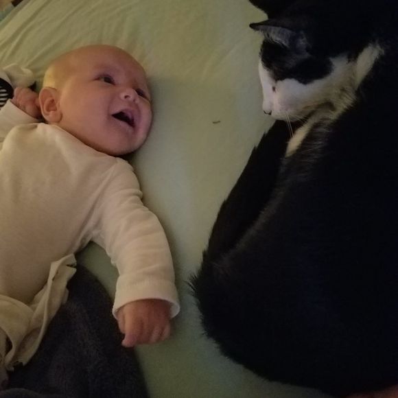 Meet your Posher, Hailey - Picture 1 of 1