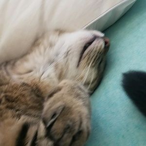 Meet your Posher, Colleen