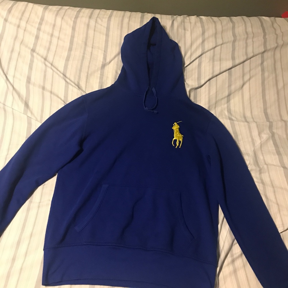 Big Pony Polo Hoodie