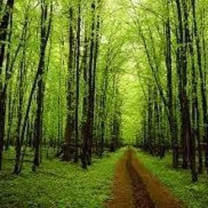 Meet your Posher, Curtis