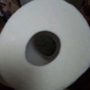 Meet your Posher, Frank