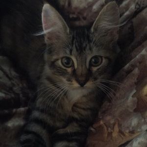 Meet your Posher, Clay