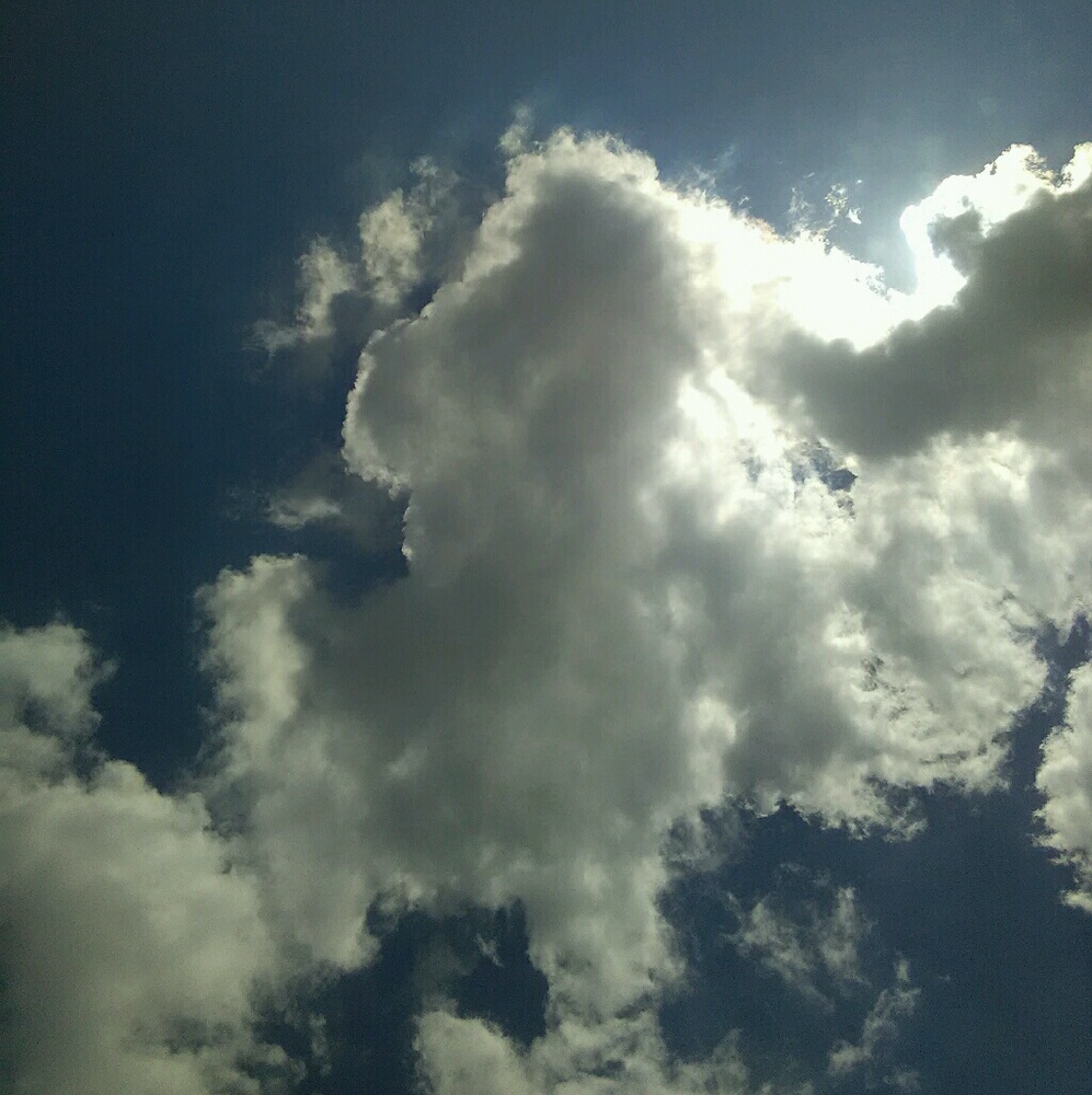 Meet your Posher, Briana