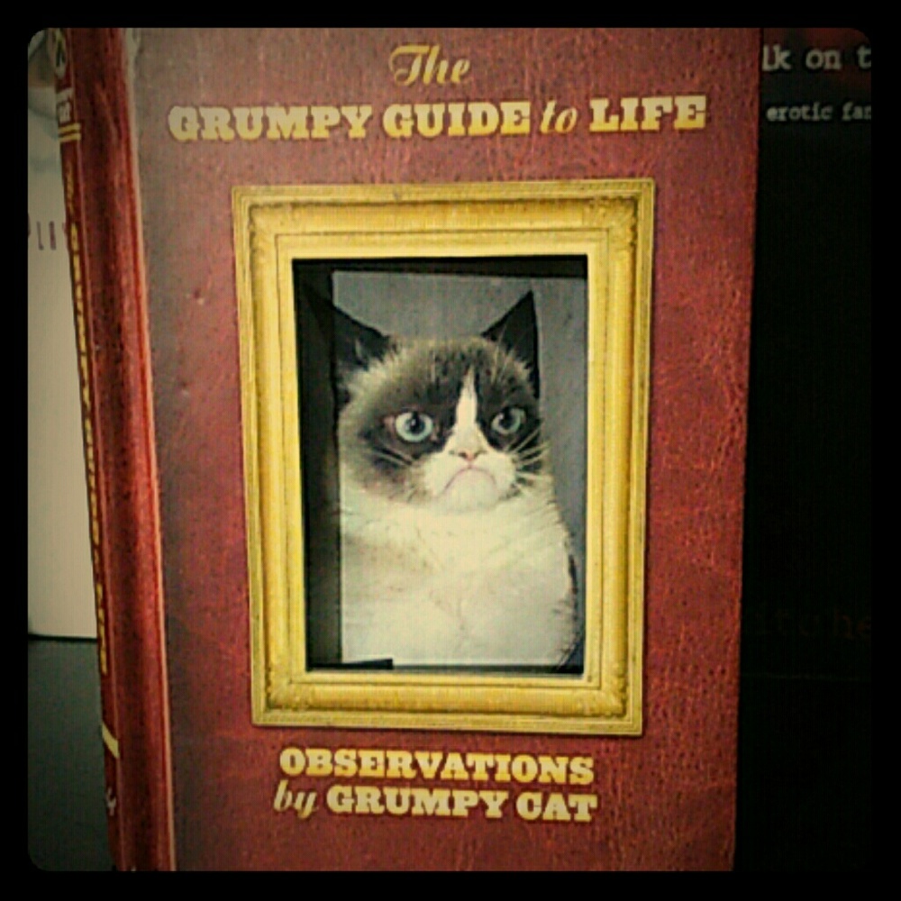 STYFFKITTEN LISTING CUSTOM