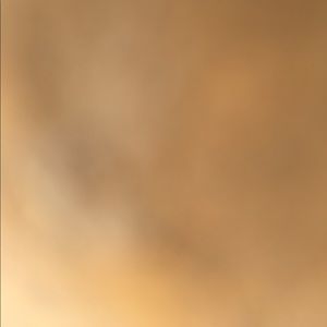 Meet your Posher, Pedro