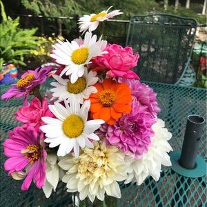 Meet your Posher, Kirstin